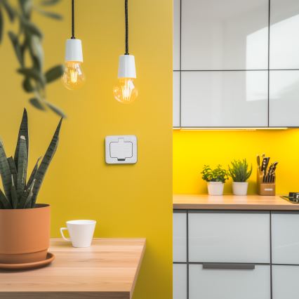 BRILAGI - virtuvinė įmontuojama rozetė INBOX IP55, matinio chromo apdaila, stačiakampė