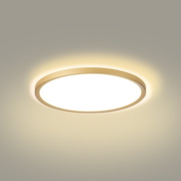 Brilagi - vonios kambario lubinis LED šviestuvas ULTRA SLIM LED/18W/230V, skersmuo 30 cm, auksinis, IP54