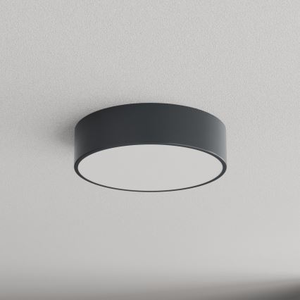 Brilagi - Vonios kambario lubinis šviestuvas CLARE 2xE27/24W/230V skersmuo 30 cm antracitas IP54