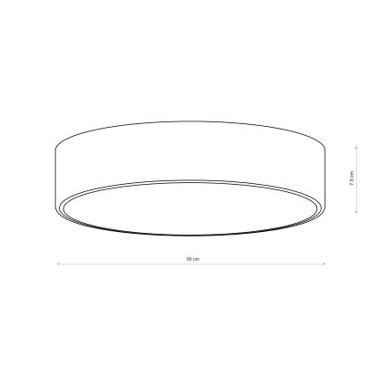Brilagi - Vonios kambario lubinis šviestuvas CLARE 2xE27/24W/230V skersmuo 30 cm IP54 rudas