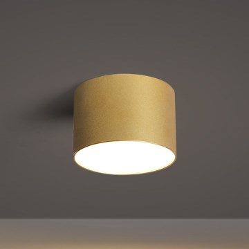 BRILAGI - Vonios kambario lubinis šviestuvas FORIS LED/9W/230V skersm. 9 cm auksinis IP44 CRI 90