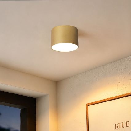BRILAGI - Vonios kambario lubinis šviestuvas FORIS LED/9W/230V skersm. 9 cm auksinis IP44 CRI 90