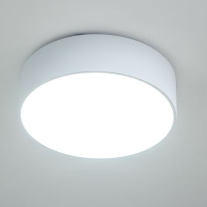 Brilagi - Vonios kambario lubinis šviestuvas POOL 3xE27/15W/230V skersmuo 40 cm IP54 baltas