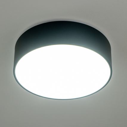 Brilagi - Vonios kambario lubinis šviestuvas POOL 3xE27/15W/230V, skersmuo 40 cm, IP54, juodas