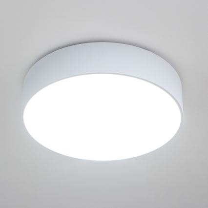 Brilagi - Vonios kambario lubinis šviestuvas POOL 4xE27/15W/230V skersmuo 50 cm IP54 baltas