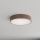 Brilagi - vonios kambario lubinis šviestuvas su judesio ir sutemos jutikliu CLARE 3xE27/24W/230V Ø 40 cm, rudas, IP54