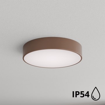 Brilagi - Vonios kambario lubų šviestuvas CLARE 3xE27/24W/230V skersmuo 40 cm IP54 ruda