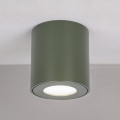 BRILAGI - Vonios kambario taškinis šviestuvas MIA 1xGU10/30W/230V 60x82 mm 84x80 mm tamsiai žalia IP54