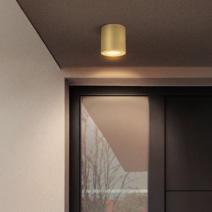 Brilagi - Vonios kambario taškinis šviestuvas MIA 1xGU10/30W/230V 84x80 mm auksinis IP54