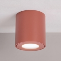 BRILAGI - Vonios kambario taškinis šviestuvas MIA 1xGU10/30W/230V 84x80 mm ruda IP54