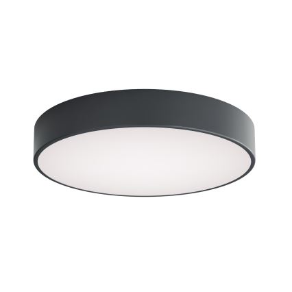 Brilagi - Vonios lubų šviestuvas CLARE 4xE27/24W/230V, skersmuo 50 cm, antracito spalvos, IP54