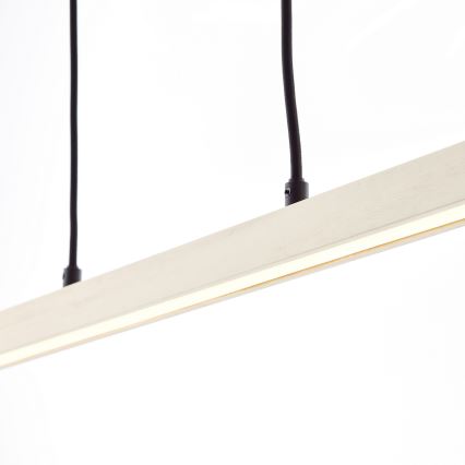 Brilliant - ARION LED liustra ant laido LED/22W/230V, pušis