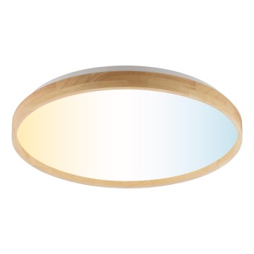 Brilliant - dimeriuojamas LED lubinis šviestuvas ALSON LED/21W/230V 3000-6500K skersm. 49,5 cm, iš kaučiukmedžio + su nuotoliniu pulteliu