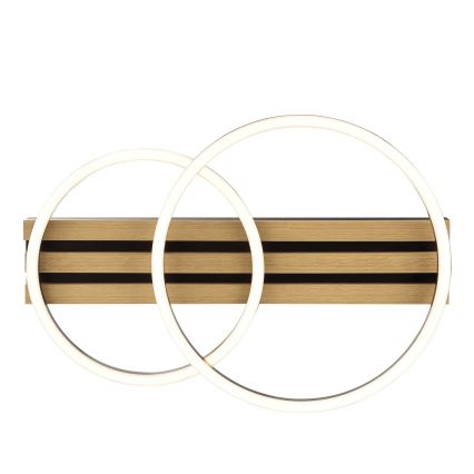 Brilliant - dimeriuojamas LED lubinis šviestuvas CALMA LED/21W/230V juodas