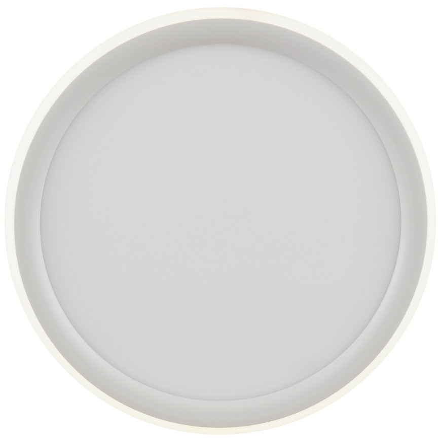 Brilliant - dimeriuojamas LED lubinis šviestuvas CARLOZ LED/16W/230V, skersmuo 30 cm, baltas