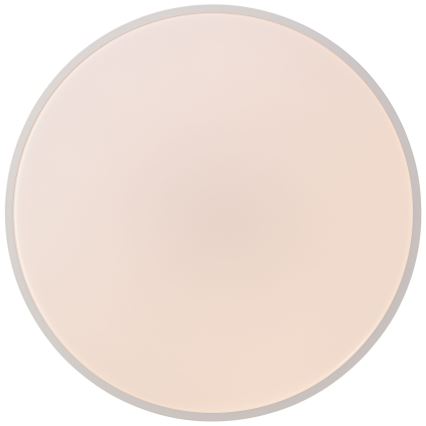 Brilliant - LED reguliuojamas lubinis šviestuvas SLIMLINE LED/60W/230V 3000-6500K Ø 49 cm baltas + nuotolinis pultas