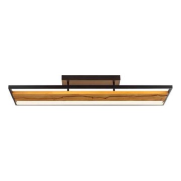 Brilliant - dimeriuojamas LED lubinis šviestuvas THUNDER LED/42W/230V, pušinis