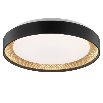 Brilliant - Reguliuojamas LED lubinis šviestuvas WALDO LED/24W/230V 3000-6500K Ø 38,5 cm juoda/auksinė + nuotolinis valdymas