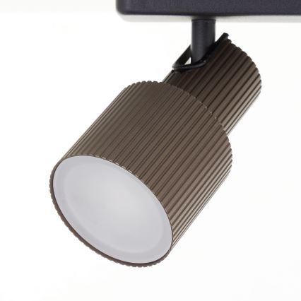 Brilliant - LED akcentinis šviestuvas CADIZ 3xGU10/5W/230V bronza