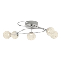 Brilliant - LED Ant pagrindo montuojamas sietynas DAJANA 5xLED/4,8W/230V 3000K