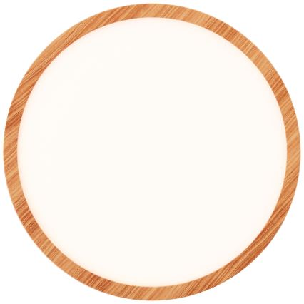 Brilliant - dimeriuojamas LED lubinis šviestuvas TUCO LED/20W/230V Ø 29,5 cm balta/smėlinė