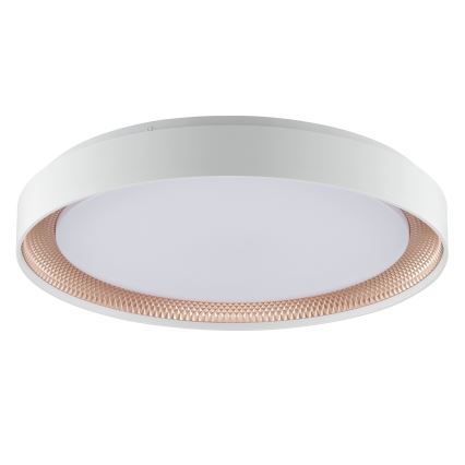 Brilliant - reguliuojamas LED lubinis šviestuvas WALDO LED/36W/230V 3000-6500K skersmuo 48,5 cm balta/rožinio aukso + nuotolinio valdymo pultas