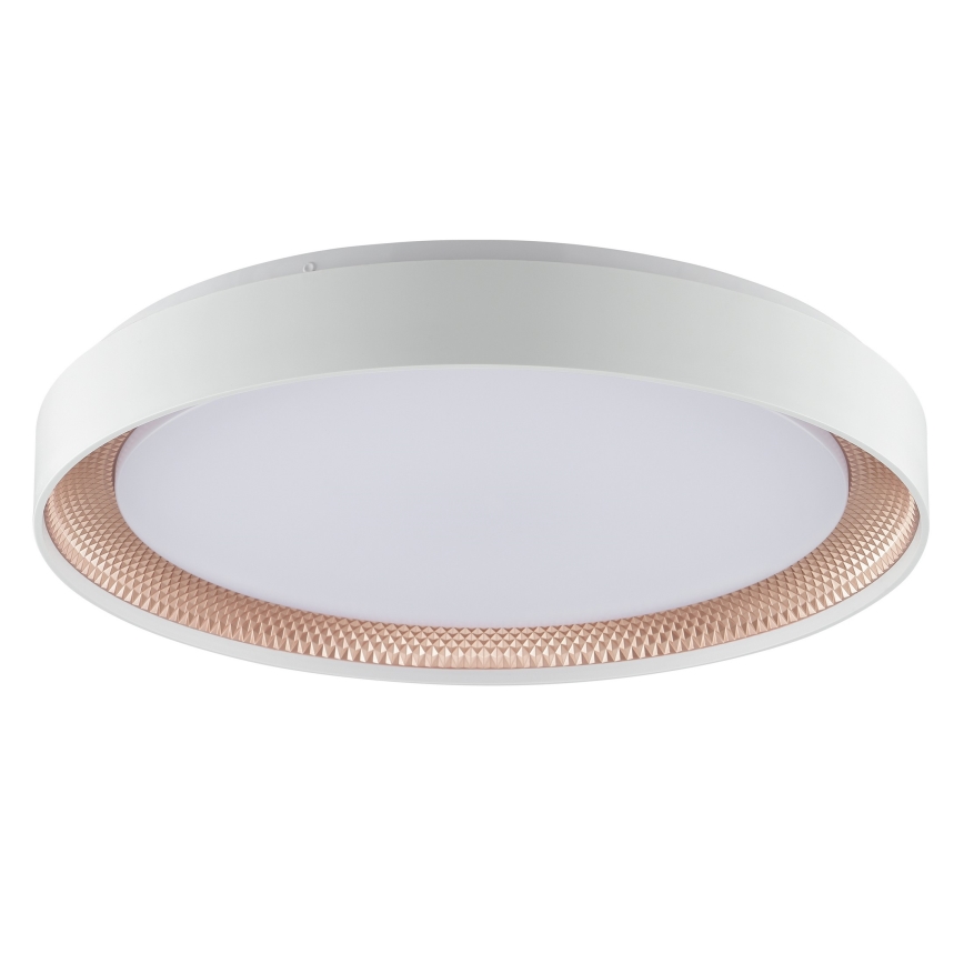 Brilliant - reguliuojamas LED lubinis šviestuvas WALDO LED/36W/230V 3000-6500K skersmuo 48,5 cm balta/rožinio aukso + nuotolinio valdymo pultas