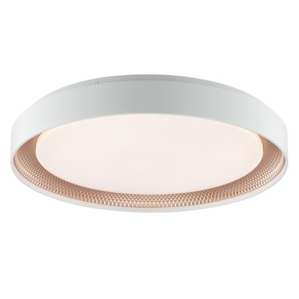 Brilliant - reguliuojamas LED lubinis šviestuvas WALDO LED/36W/230V 3000-6500K skersmuo 48,5 cm balta/rožinio aukso + nuotolinio valdymo pultas