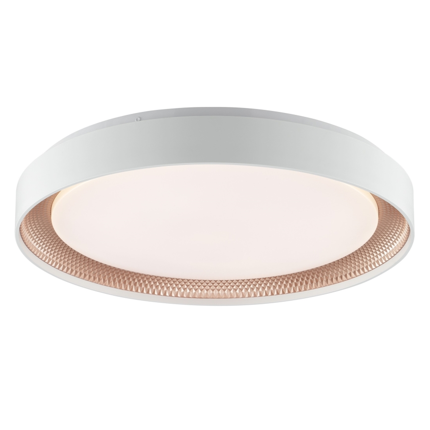 Brilliant - reguliuojamas LED lubinis šviestuvas WALDO LED/36W/230V 3000-6500K skersmuo 48,5 cm balta/rožinio aukso + nuotolinio valdymo pultas