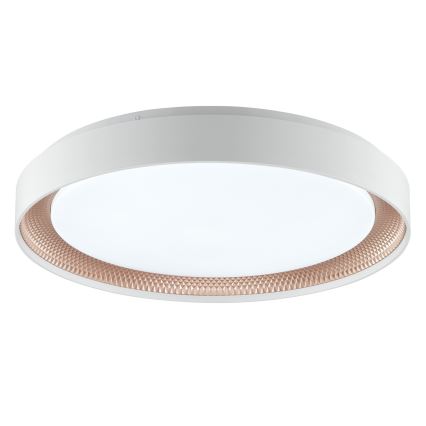 Brilliant - reguliuojamas LED lubinis šviestuvas WALDO LED/36W/230V 3000-6500K skersmuo 48,5 cm balta/rožinio aukso + nuotolinio valdymo pultas