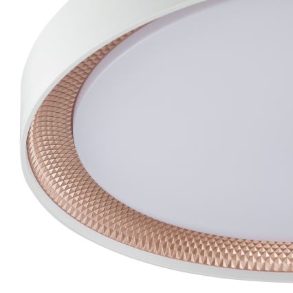 Brilliant - reguliuojamas LED lubinis šviestuvas WALDO LED/36W/230V 3000-6500K skersmuo 48,5 cm balta/rožinio aukso + nuotolinio valdymo pultas