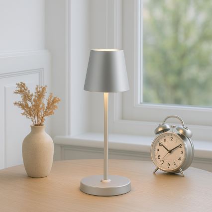 Brilliant - LED reguliuojama įkraunama jutiklinė lauko stalinė lempa ELORA LED/2,5W/5V 2700K 2600 mAh IP44 sidabrinė