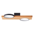 Brilliant - LED lubinis šviestuvas CHEESY LED/14W/230V pušis