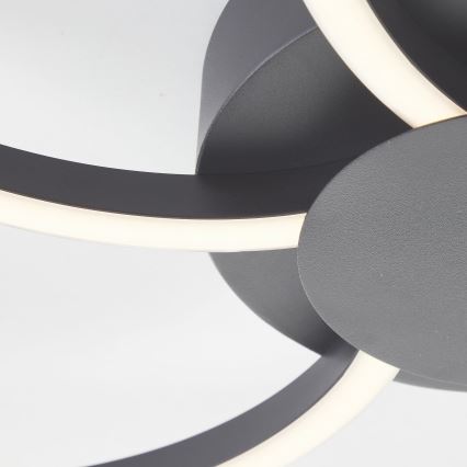 Brilliant - LED Pritemdomas lubinis šviestuvas FICO LED/32W/230V 3000-6500K diametras 65 cm juoda + nuotolinio valdymo pultas