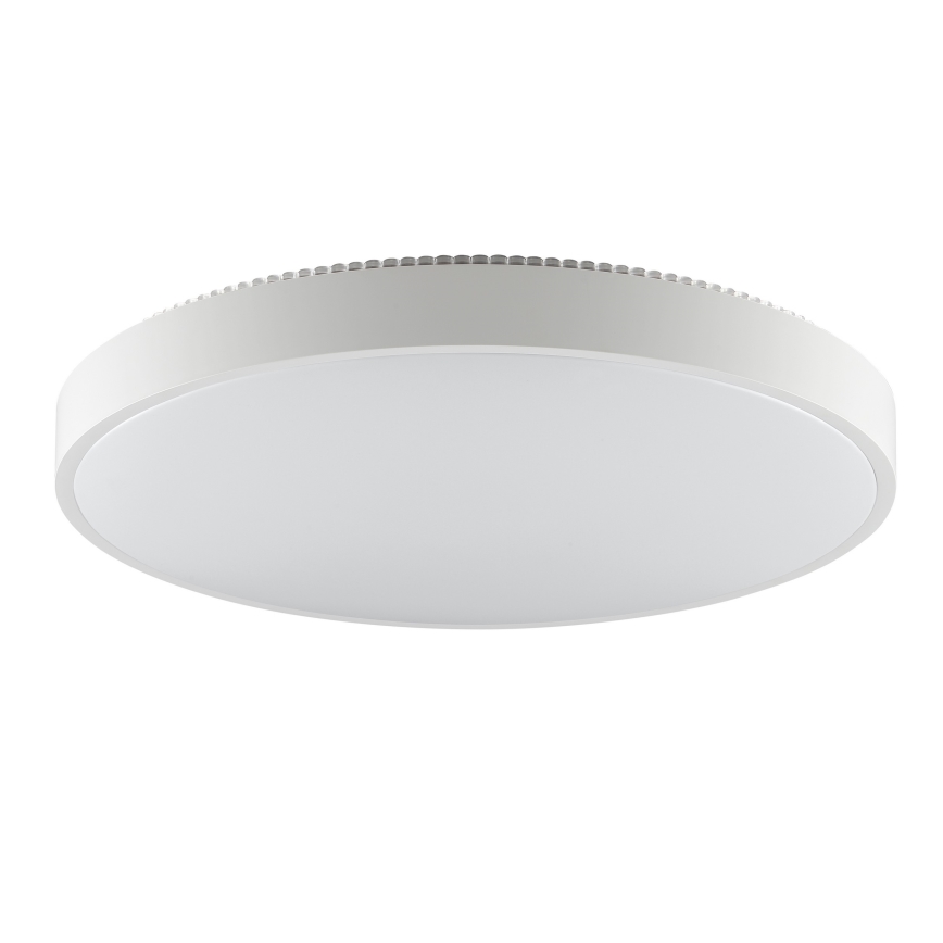 Brilliant - LED lubinis šviestuvas SOLISTRA LED/36W/230V skersm. 54 cm balta