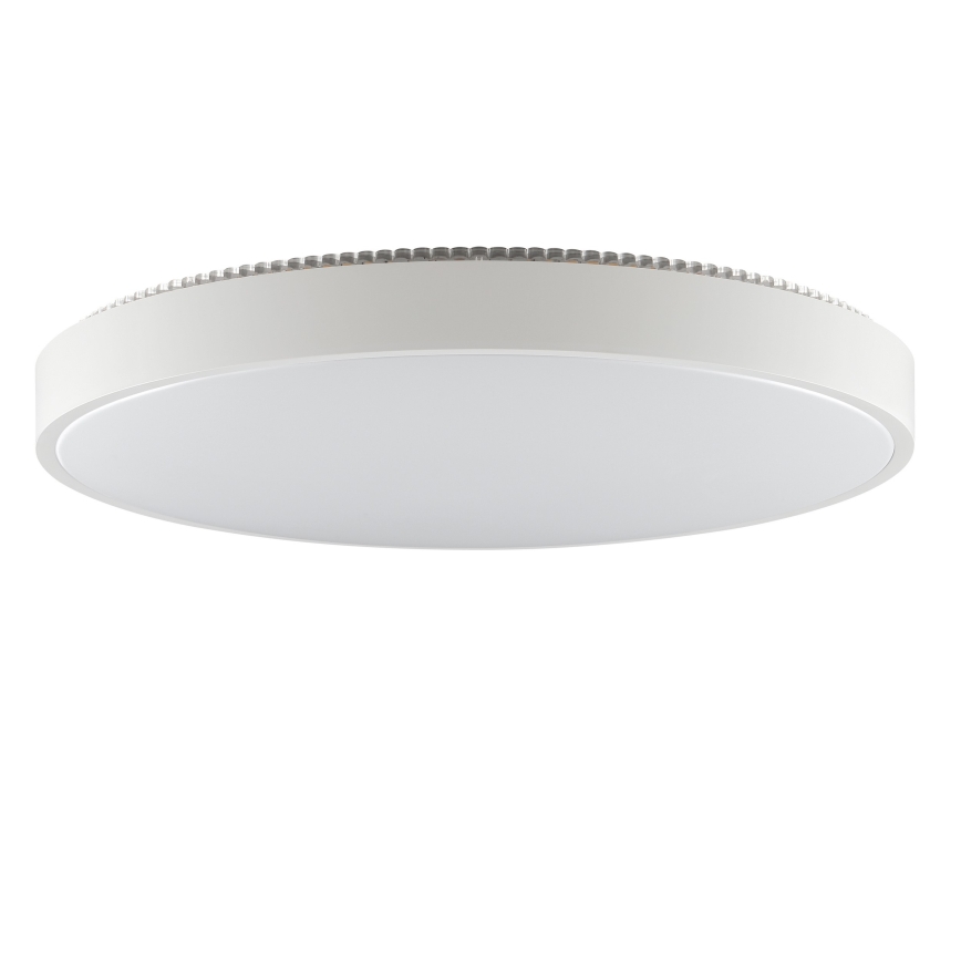 Brilliant - LED lubinis šviestuvas SOLISTRA LED/36W/230V skersm. 54 cm balta