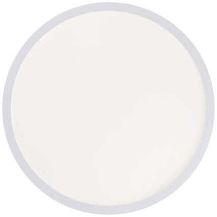 Brilliant - LED lubų šviestuvas MILTON LED/24W/230V Ø 42 cm balta