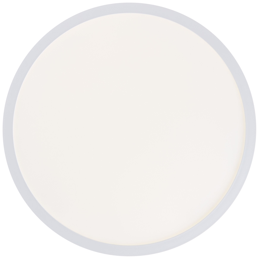 Brilliant - LED lubų šviestuvas MILTON LED/24W/230V Ø 42 cm balta