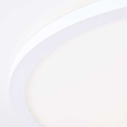 Brilliant - LED lubų šviestuvas MILTON LED/24W/230V Ø 42 cm balta