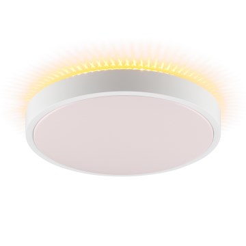 Brilliant - LED lubų šviestuvas SOLISTRA LED/24W/230V, skersmuo 44,5 cm, baltas