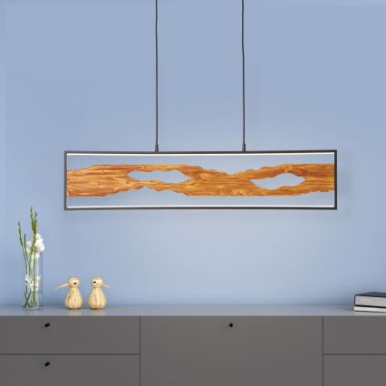 Brilliant - LED Pakabinamas sietynas CHAUMONT LED/20W/230V pušis