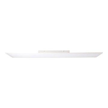 Brilliant - LED panelė CHARLA LED/40W/230V 29,5x119,5 cm 2700K
