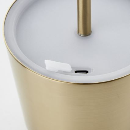 Brilliant - LED Pritemdomas jutiklinė lauko lempa XAANA LED/4W/5V 3000/4000/6500K 2600 mAh IP44 auksas