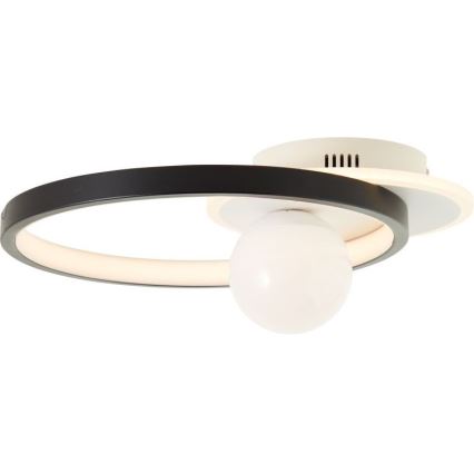 Brilliant - LED Pritemdomas lubinis šviestuvas ATLANTA LED/24W/230V juoda/balta