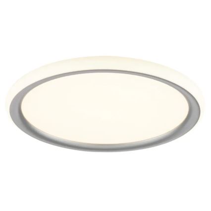 Brilliant - LED reguliuojamas lubinis šviestuvas CARLOZ LED/16W/230V Ø 30 cm balta/pilka