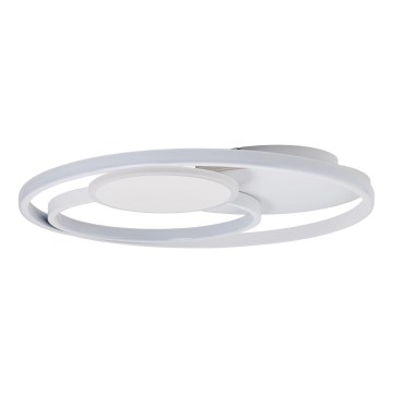Brilliant - LED Pritemdomas lubinis šviestuvas RUNDA LED/50W/230V 3000-6500K balta + nuotolinio valdymo pultas