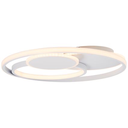 Brilliant - LED Pritemdomas lubinis šviestuvas RUNDA LED/50W/230V 3000-6500K balta + nuotolinio valdymo pultas
