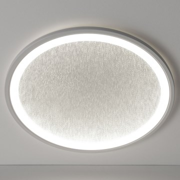 Brilliant - LED Pritemdomas lubinis šviestuvas TANIDA LED/31W/230V 3000-6500K + nuotolinio valdymo pultas