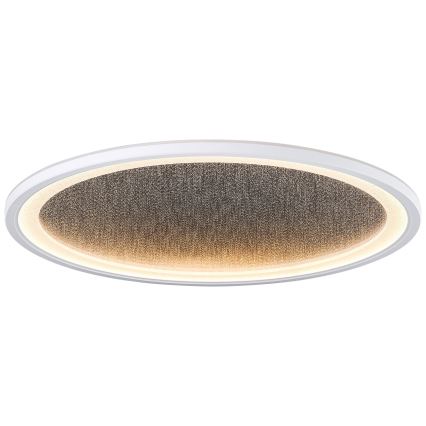 Brilliant - LED Pritemdomas lubinis šviestuvas TANIDA LED/31W/230V 3000-6500K + nuotolinio valdymo pultas