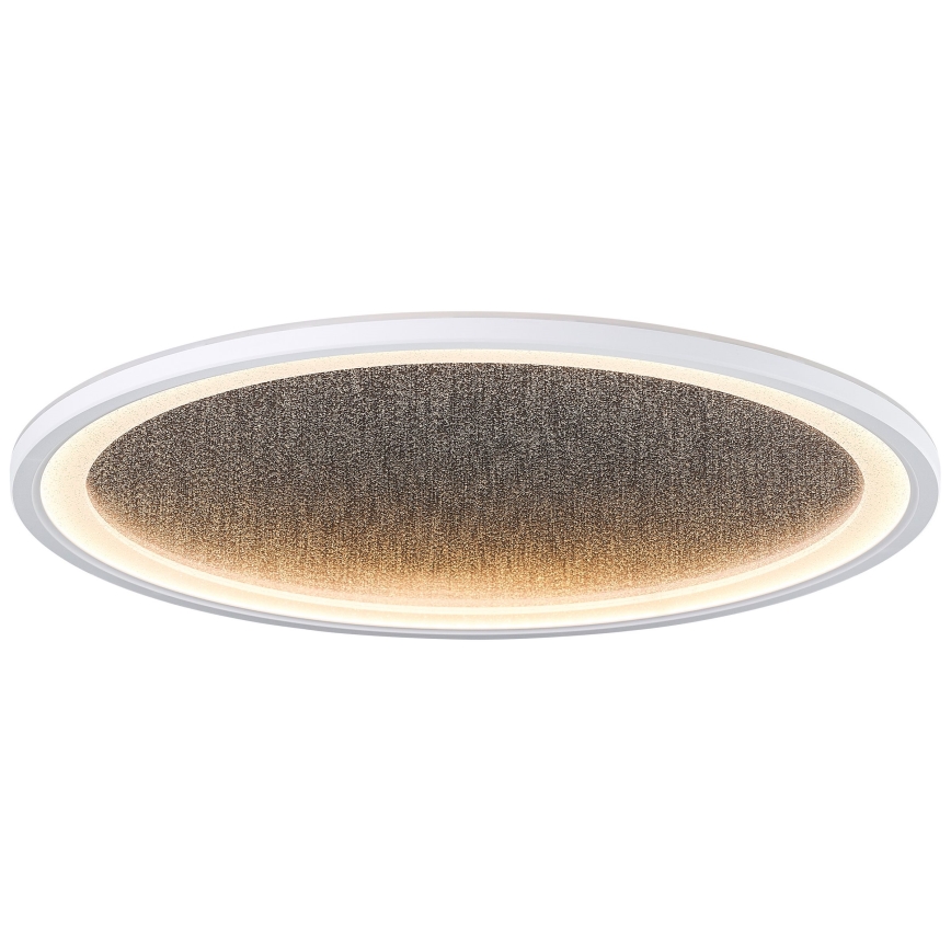 Brilliant - LED Pritemdomas lubinis šviestuvas TANIDA LED/31W/230V 3000-6500K + nuotolinio valdymo pultas